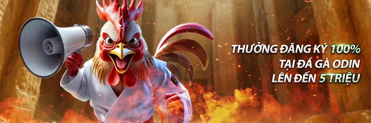 Các Cấp Độ VIP SM66