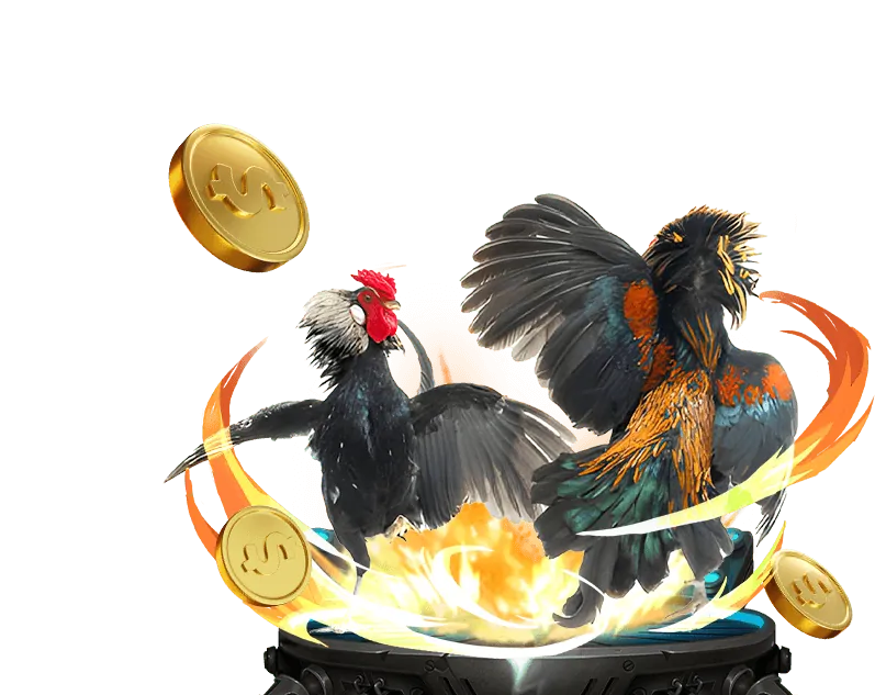 Trải nghiệm đá gà trực tuyến sm66